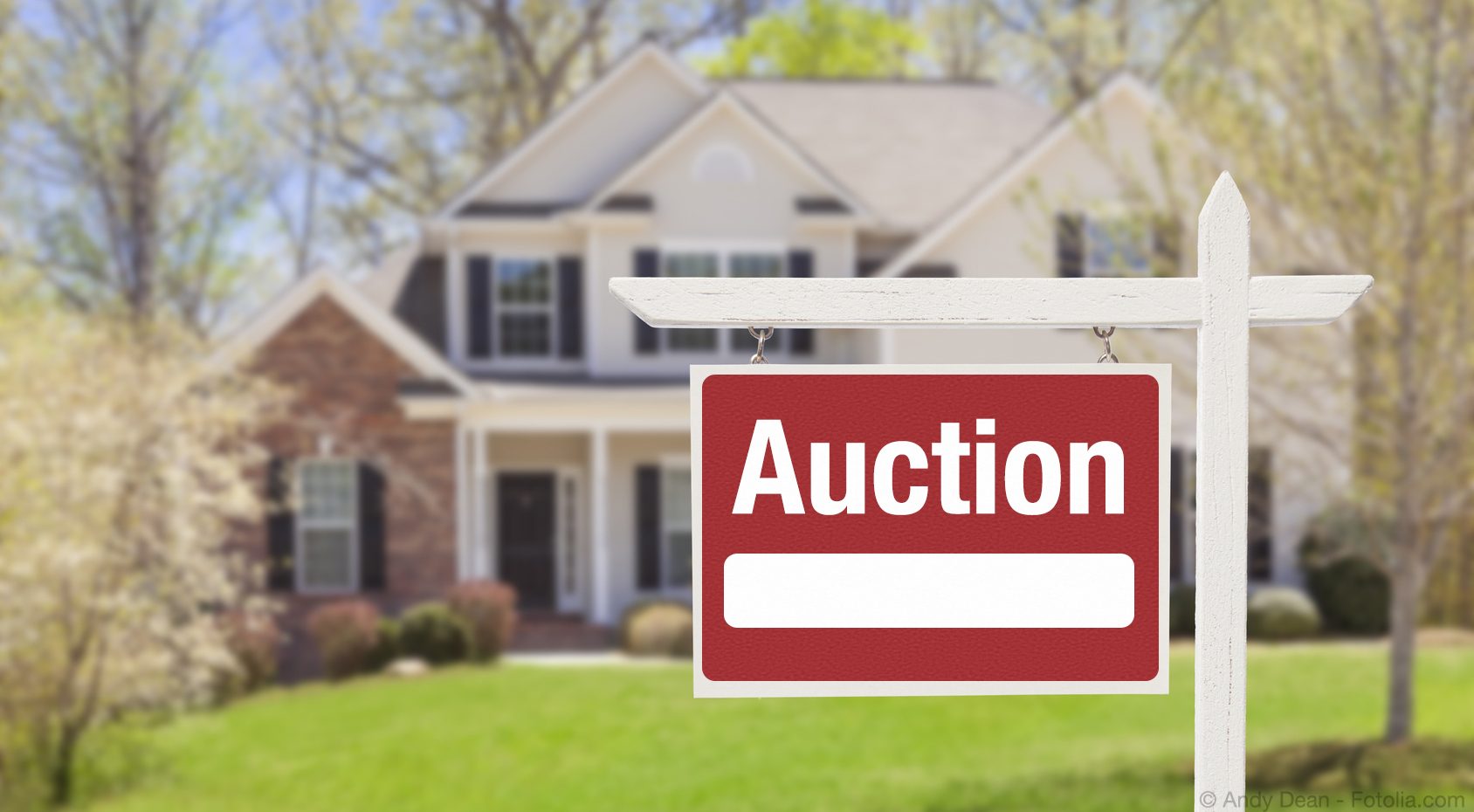 How To Get Involved In Auctions