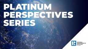 Logo: Platinum Perspectives