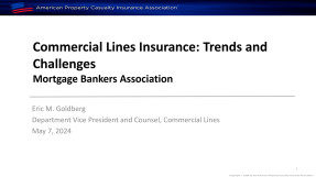 Cover of Eric M. Goldberg's slides: Commercial Line: Insurance Trends