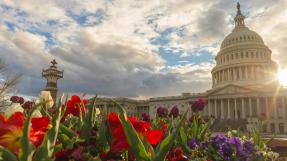 Low Angle View Of Plants Against Cloudy Sky with Capitol Building