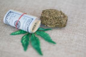 marijuana leaf and bud with a roll of cash