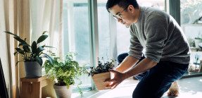 A young man crouches down slightly on the right side of the frame, placing a small potted plant near others along a windowsill.