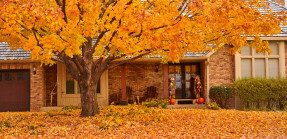 Home in fall with sugar maple in front yard
