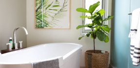 Bathtub with plant next to it