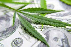  Cannabis leaf on dollar bill