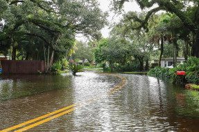 Flooded residential street
