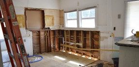 Gut renovation in home