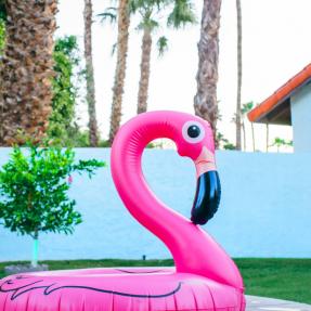 Pink Flamingo Inflatable in Garden