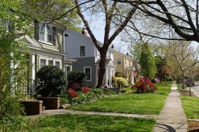 Residential neighborhood in spring