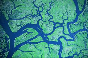 Aerial view of river delta