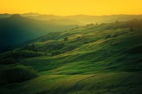 Rolling green hills and a yellow sky