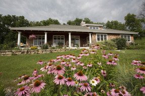 Single story house with large front yard with coneflowers in foreground