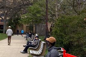 people sitting on benches at a park