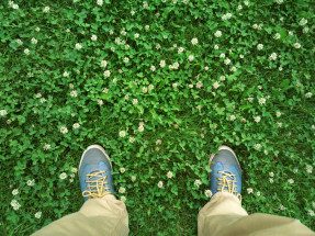 Feet and clover