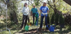 NAR President Leslie Rouda Smith plants a tree in her yard