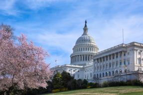 US Capitol Building in Spring