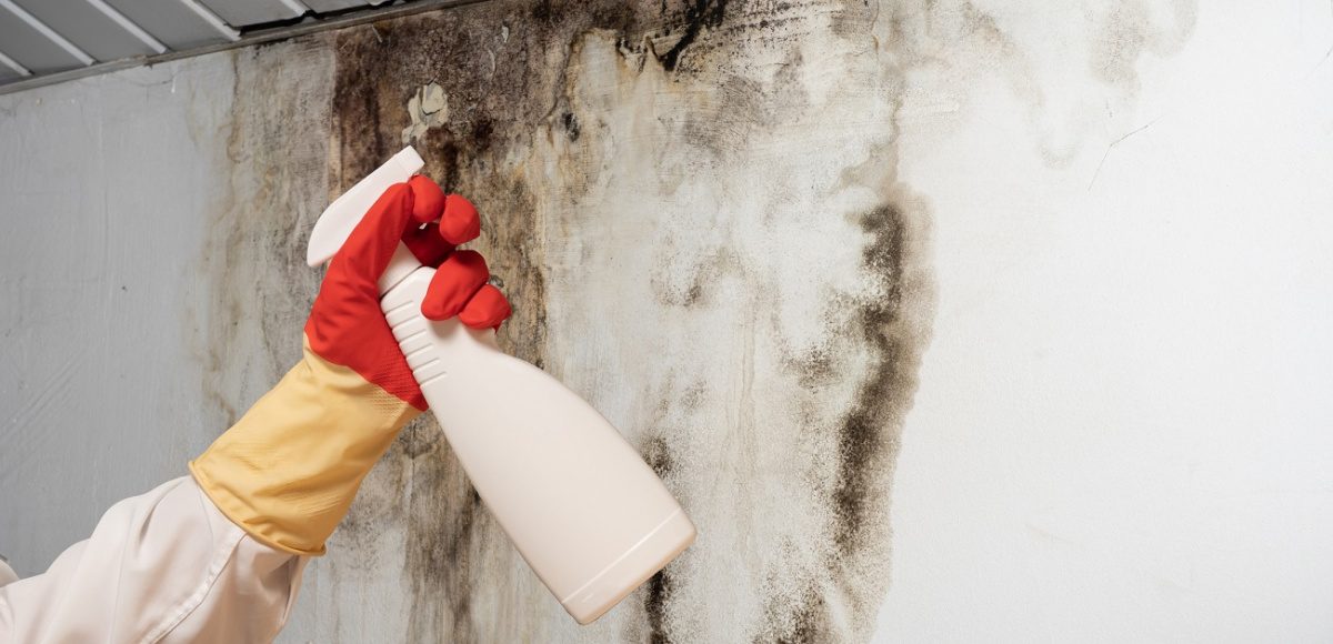 using bleach on black mold on wall