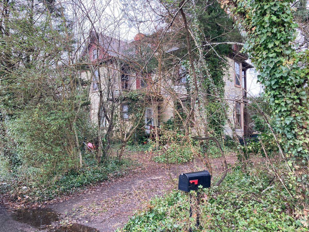 Overgrown exterior before renovation