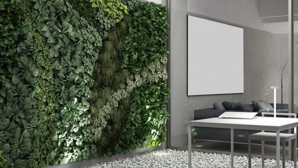 living wall in outdoor courtyard