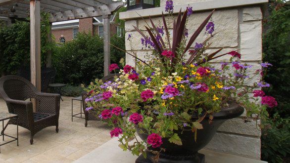 container garden with various flowers