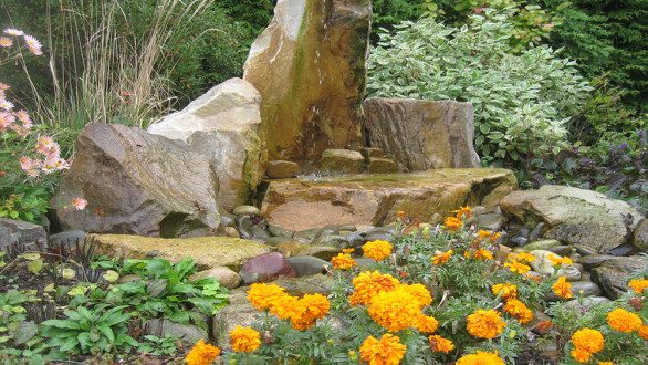 butterfly garden with water feature and colorful flowers