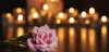 pink rose with lit candles in background