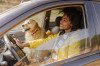 Woman driving car with dog in passenger seat